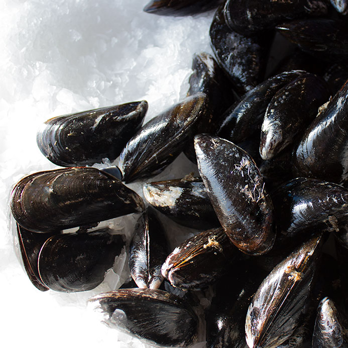 PEI Mussels — Products Pangea Shellfish Company